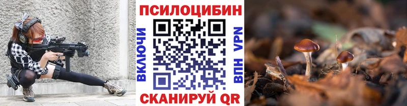 Купить закладки Сергач Псилоцибиновые грибы Psilocybe